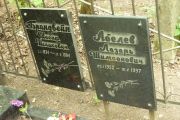 Брандвейн Иосиф Исаакович, Москва, Востряковское кладбище